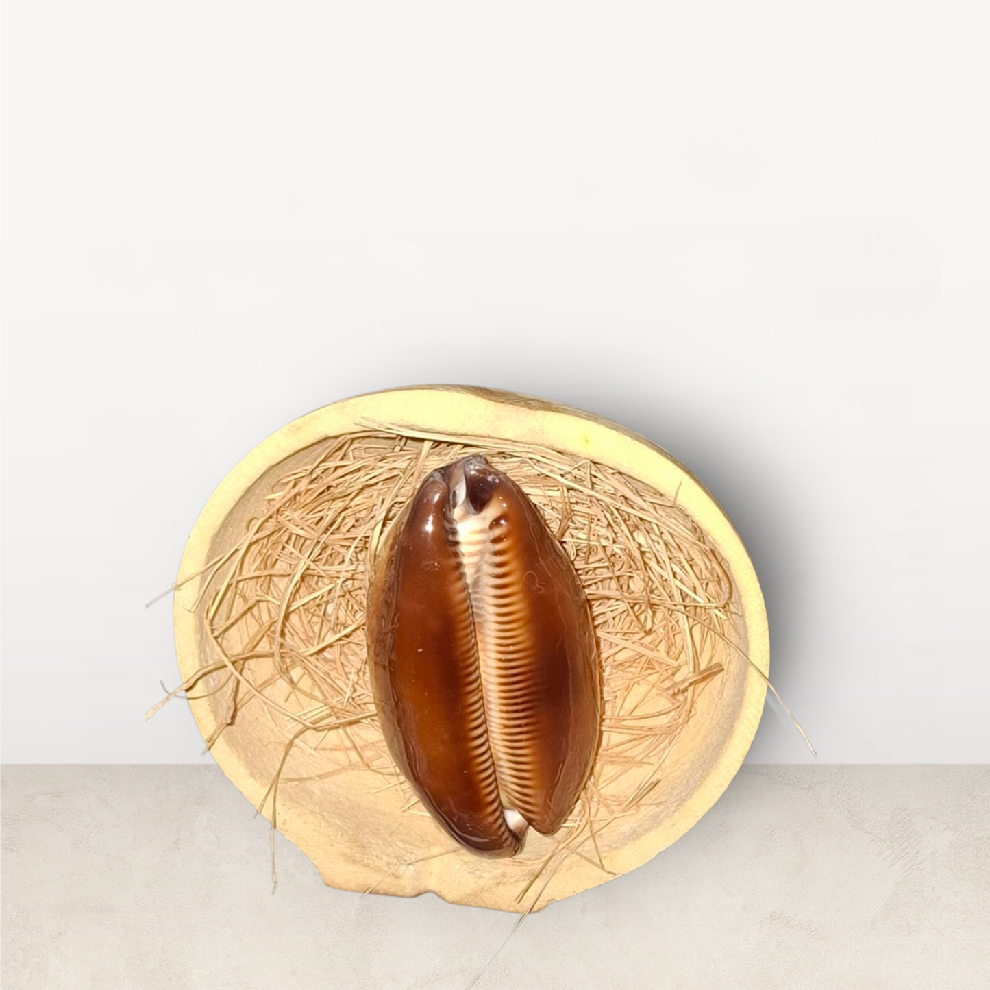 CAURI MARRON ET SA CALEBASSE 7cm (édition limitée)