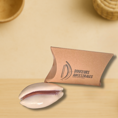 Cauri beige 7cm (1pc)